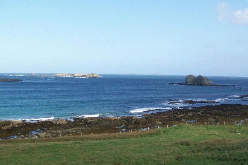 The Seaview Tavern Ballygorman エクステリア 写真